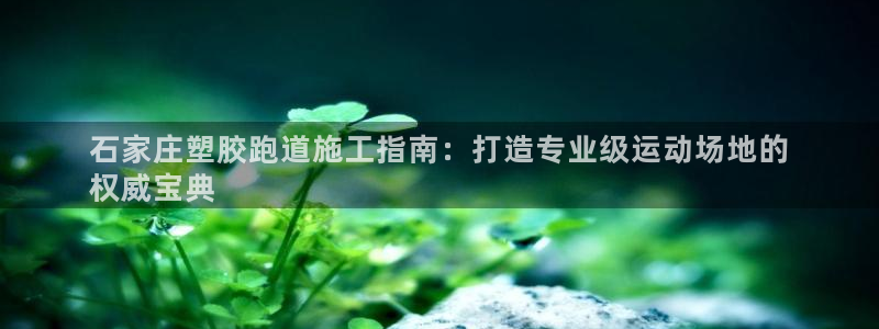 谈球吧官网在线入口手机版下载：石家庄塑胶跑道施工指南