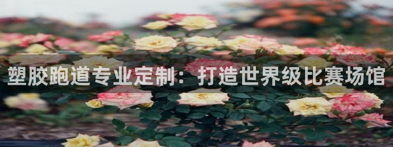 谈球吧体育app官网下载安卓：塑胶跑道专业定制：打造