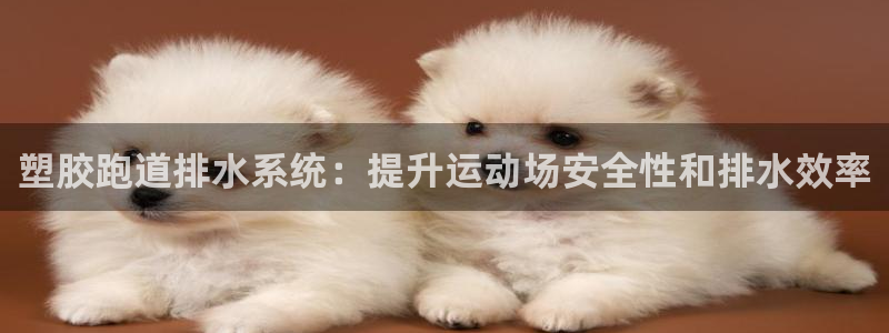 谈球吧登录：塑胶跑道排水系统：提升运动场安全性和排水