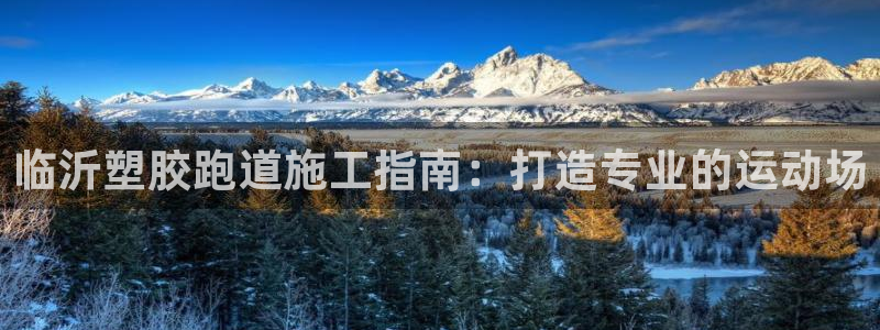谈球吧的聊天软件下载：临沂塑胶跑道施工指南：打造专业的运动场