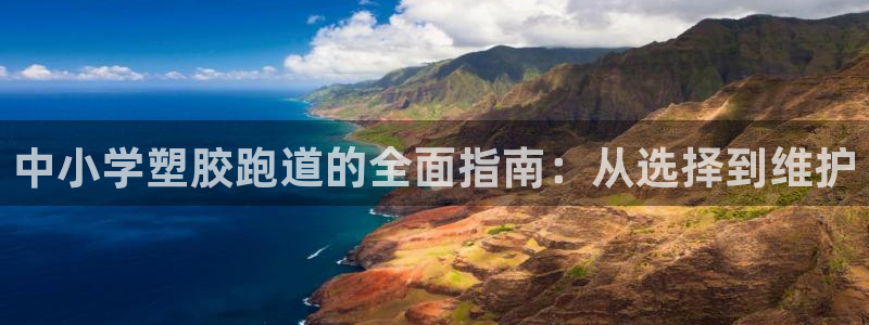 谈球吧的聊天软件：中小学塑胶跑道的全面指南：从选择到维护