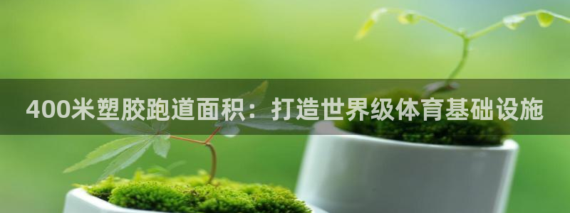 谈球吧-体育赛事：400米塑胶跑道面积：打造世界级体育基础设施