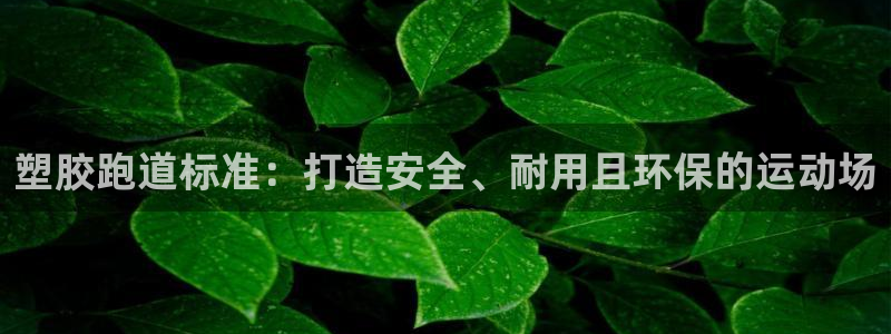 谈球吧言网入口：塑胶跑道标准：打造安全、耐用且环保的运动场