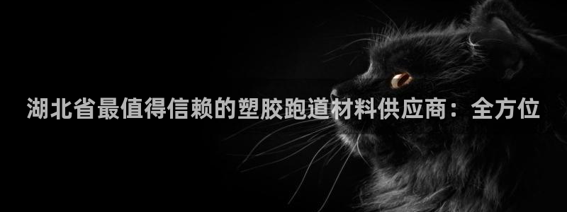 谈球吧官网在线入口免费观看高清视频：湖北省最值得信赖的塑胶跑道材料供应商：全方位

