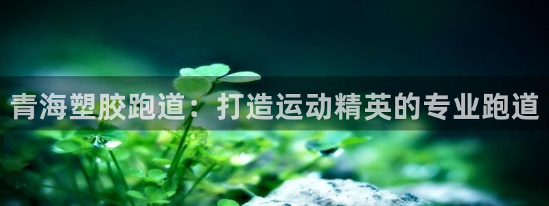 谈球吧体育app下载中心官网：青海塑胶跑道：打造运动精英的专业跑道