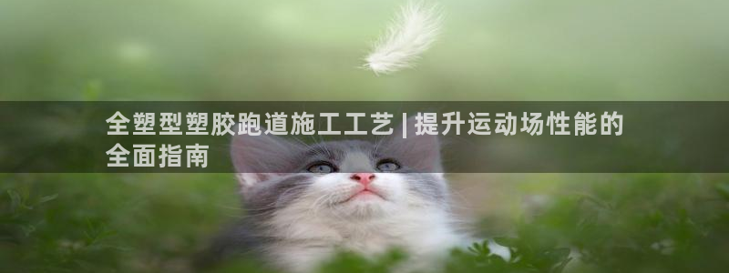 谈球吧怎么样?：全塑型塑胶跑道施工工艺 | 提升运动场性能的
全面指南