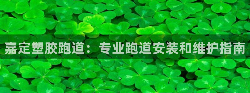 谈球吧在线登录：嘉定塑胶跑道：专业跑道安装和维护指南