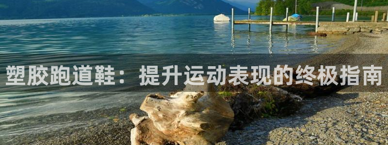 谈球吧怎么样：塑胶跑道鞋：提升运动表现的终极指南