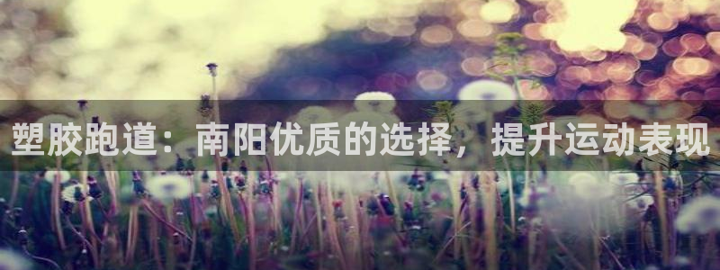 谈球吧app靠谱吗：塑胶跑道：南阳优质的选择，提升运动表现