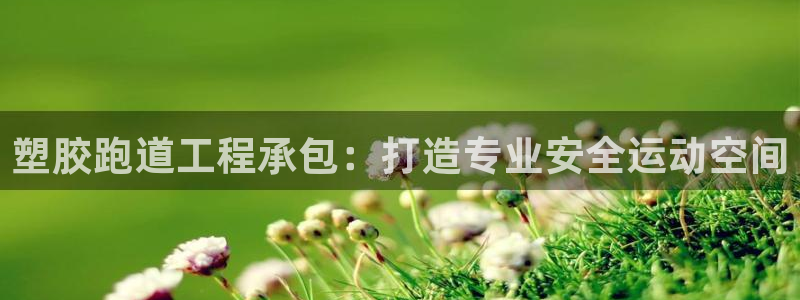 谈球吧是黑台子吗：塑胶跑道工程承包：打造专业安全运动空间