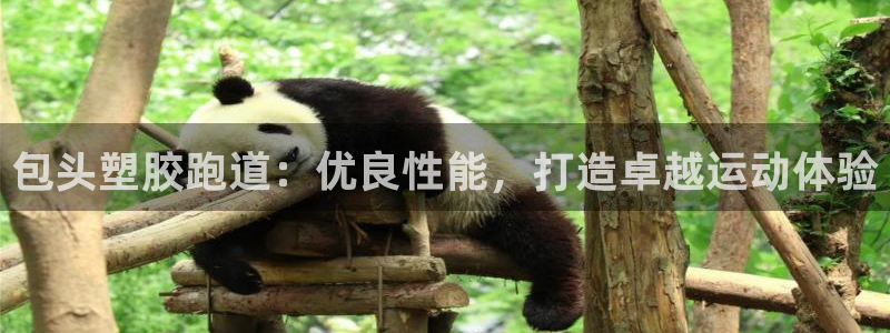 谈球吧娱乐app下载官网苹果手机：包头塑胶跑道：优良性能，打造卓越运动体验