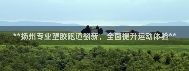 谈球吧的聊天软件有哪些：**扬州专业塑胶跑道翻新，全面提升运动体验**