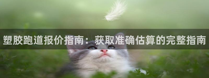 谈球吧红包激活码：塑胶跑道报价指南：获取准确估算的完整指南