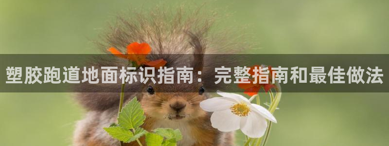 谈球吧账号有人收吗：塑胶跑道地面标识指南：完整指南和最佳做法