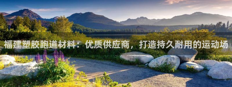 谈球吧首页：福建塑胶跑道材料：优质供应商，打造持久耐用的运动场
