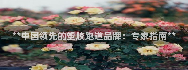 谈球吧网页版在线入口：**中国领先的塑胶跑道品牌：专家指南**