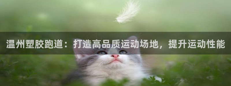谈球吧app赛事分析：温州塑胶跑道：打造高品质运动场地，提升运动性能
