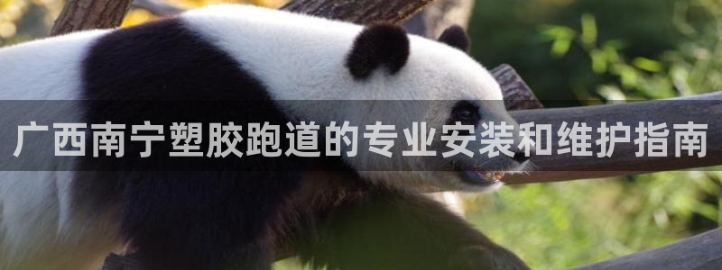 谈球吧体育app下载：广西南宁塑胶跑道的专业安装和维