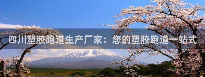 谈球吧APP入口：四川塑胶跑道生产厂家：您的塑胶跑道一站式
