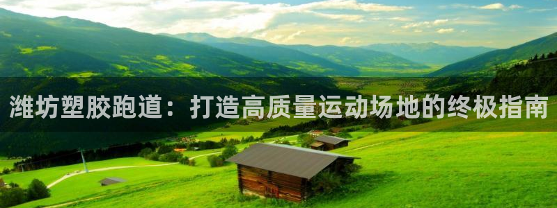 谈球吧体育app下载：潍坊塑胶跑道：打造高质量运动场地的终极指南