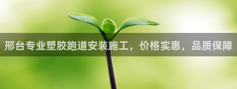 谈球吧体育app登陆：邢台专业塑胶跑道安装施工，价格实惠，品质保障