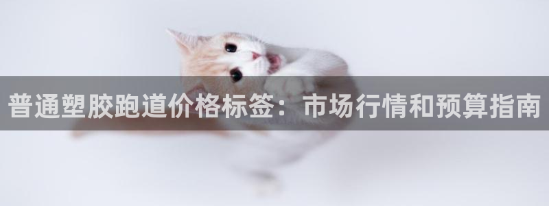 谈球吧体育app下载官网安卓：普通塑胶跑道价格标签：市场行情和预算指南