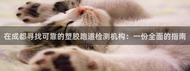 谈球吧体育app登陆：在成都寻找可靠的塑胶跑道检测机构：一份全面的指南
