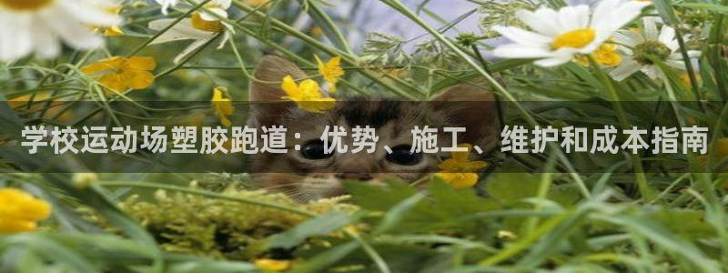 谈球吧体育app下载中心官方：学校运动场塑胶跑道：优