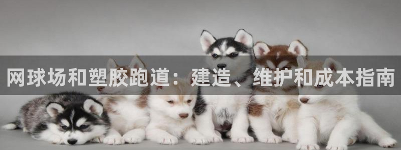 谈球吧是黑台子吗知乎全文：网球场和塑胶跑道：建造、维护和成本指南