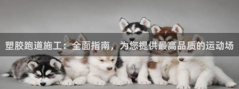 谈球吧官网在线入口：塑胶跑道施工：全面指南，为您提供最高品质的运动场