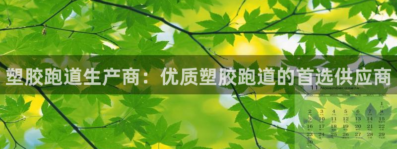 谈球吧怎么充值：塑胶跑道生产商：优质塑胶跑道的首选供应商