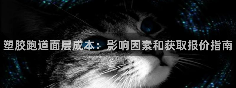 谈球吧官网入口在线观看：塑胶跑道面层成本：影响因素和获取报价指南
