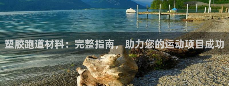 谈球吧的聊天软件是什么：塑胶跑道材料：完整指南，助力