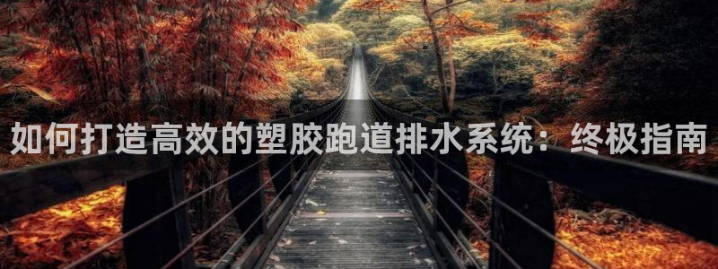 谈球吧是黑台子吗知乎小说：如何打造高效的塑胶跑道排水系统：终极指南