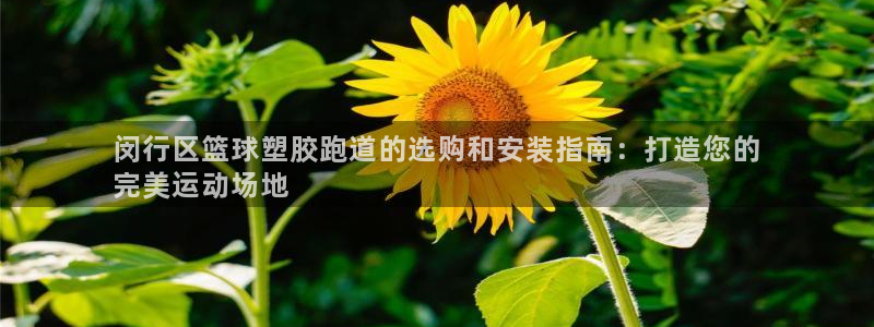 谈球吧官网在线入口网址：闵行区篮球塑胶跑道的选购和安
