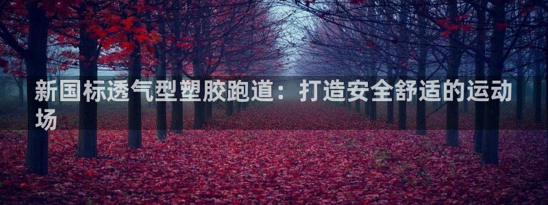 谈球吧体育app下载官网苹果：新国标透气型塑胶跑道：打造安全舒适的运动
场