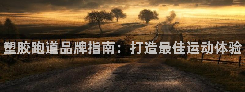 谈球吧官网提款不了：塑胶跑道品牌指南：打造最佳运动体