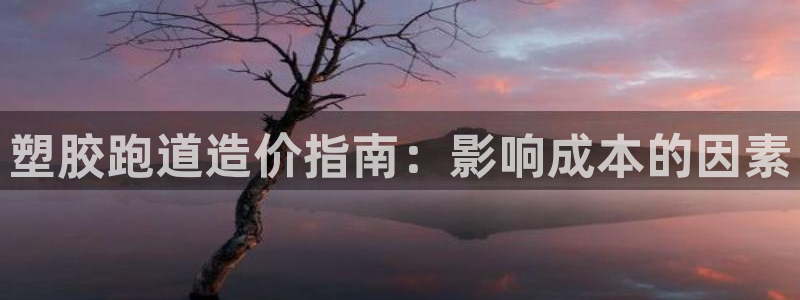 谈球吧账号有人收吗：塑胶跑道造价指南：影响成本的因素