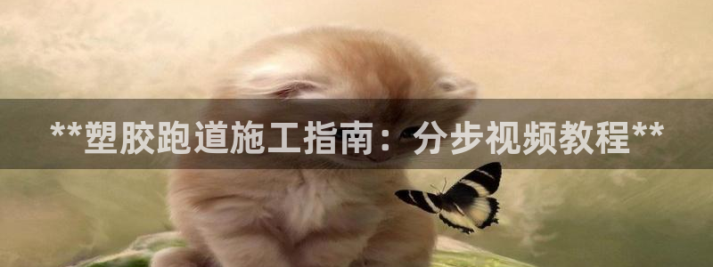 谈球吧网页登陆：**塑胶跑道施工指南：分步视频教程**