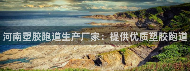 谈球吧体育app下载中心官网：河南塑胶跑道生产厂家：提供优质塑胶跑道