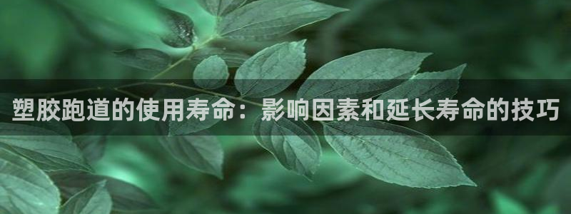 谈球吧是黑台子吗：塑胶跑道的使用寿命：影响因素和延长寿命的技巧