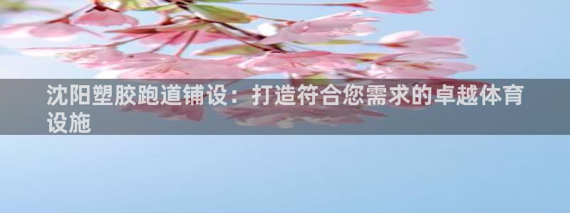 谈球吧app官网下载：沈阳塑胶跑道铺设：打造符合您需