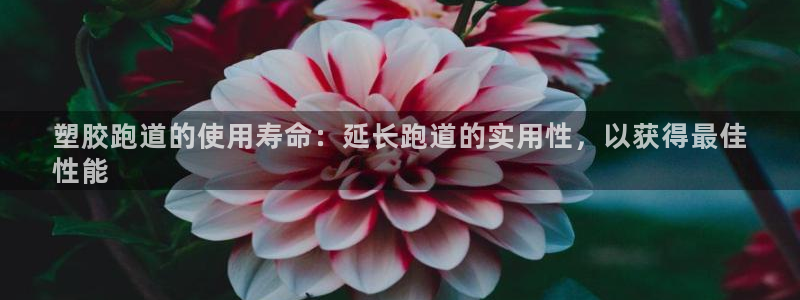 谈球吧怎么样?：塑胶跑道的使用寿命：延长跑道的实用性，以获得最佳
性能