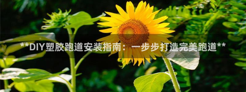 谈球吧体育app下载足球：**DIY塑胶跑道安装指南：一步步打造完美跑道**
