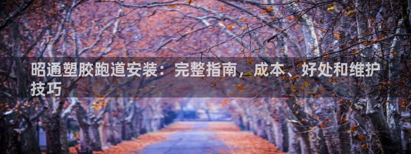 谈球吧官网在线入口手机版下载苹果：昭通塑胶跑道安装：完整指南，成本、好处和维护
技巧