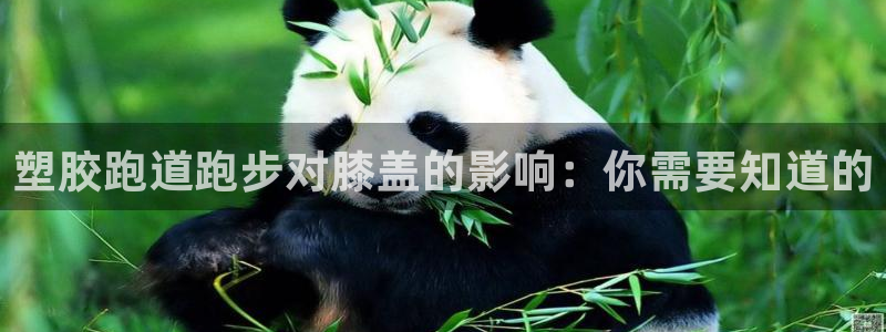 tqb谈球吧：塑胶跑道跑步对膝盖的影响：你需要知道的