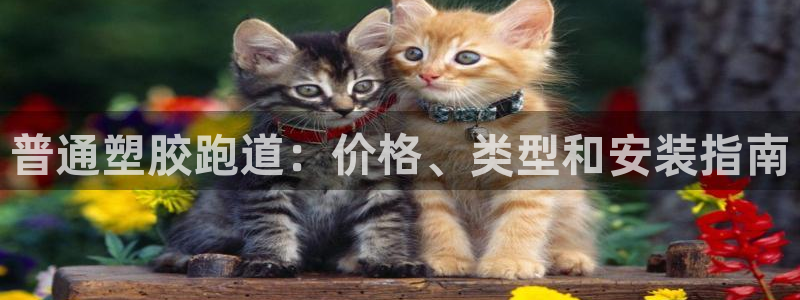谈球吧app官网：普通塑胶跑道：价格、类型和安装指南