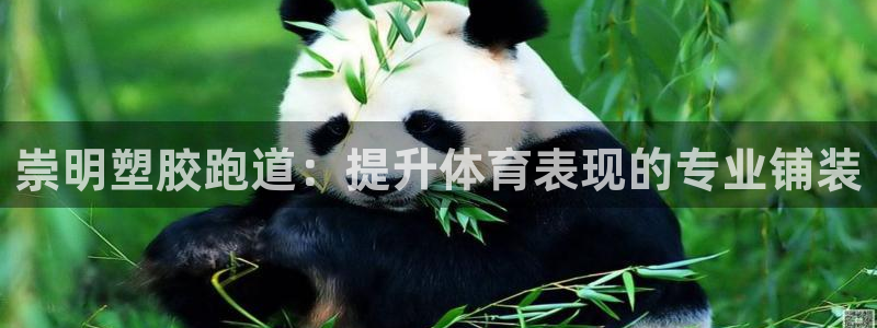 谈球吧首页：崇明塑胶跑道：提升体育表现的专业铺装