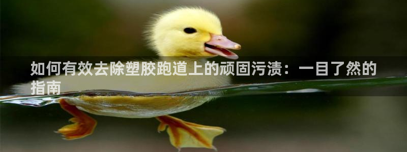 谈球吧怎么样：如何有效去除塑胶跑道上的顽固污渍：一目了然的
指南