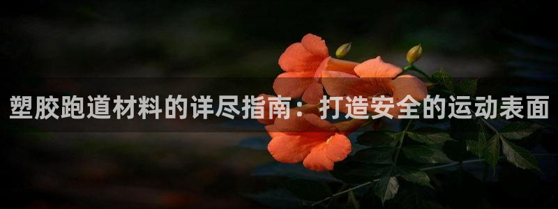 谈球吧官网在线入口免费观看高清视频